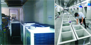 浙江鑫华电镀项目节能管理服务 绿色智造，降本增效新引擎